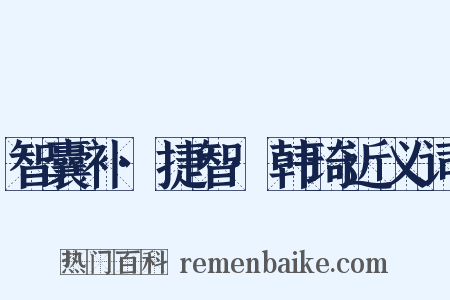 智囊补·捷智·韩琦近义词是什么意思的图片